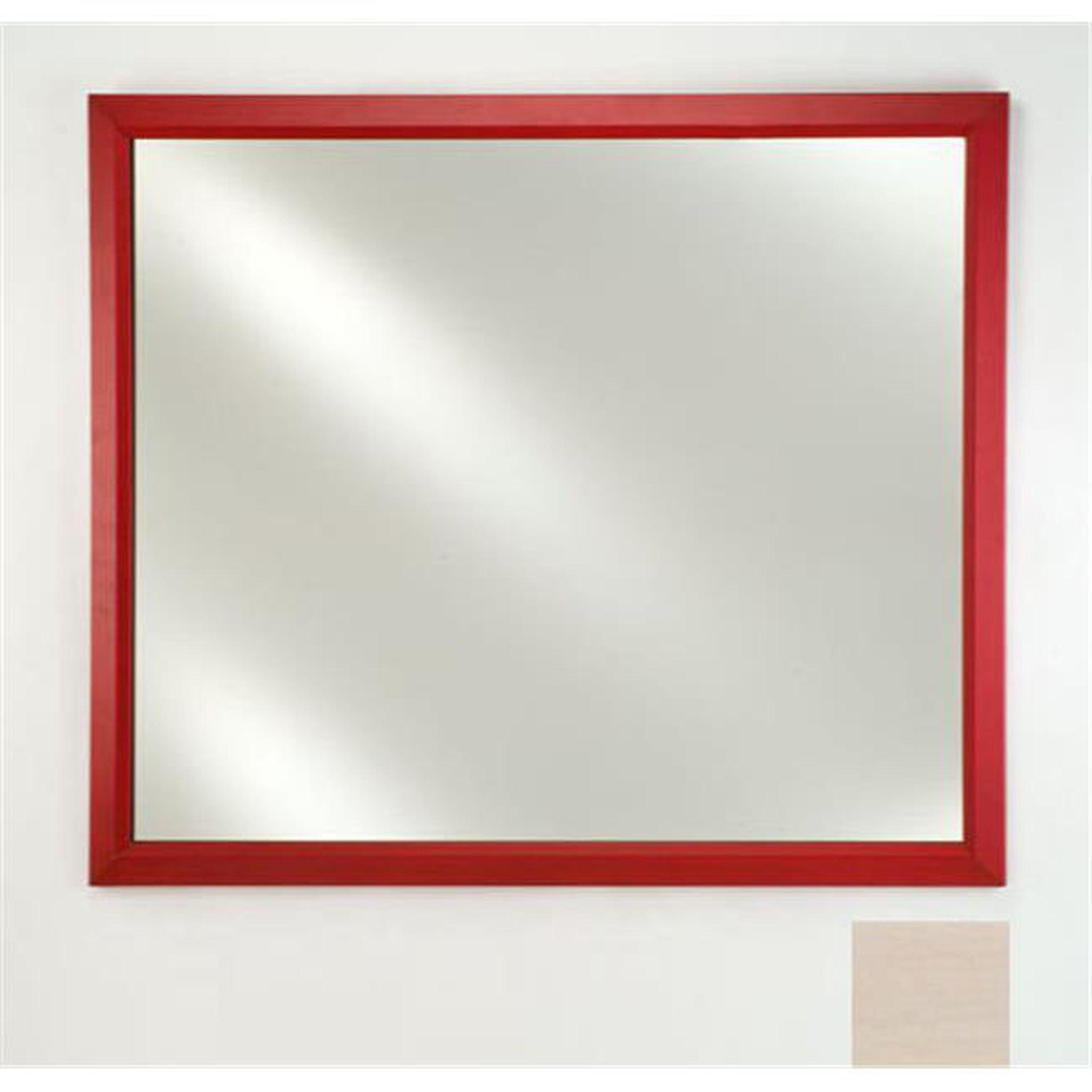 Afina, Afina Signature 16" x 22" Arlington Pickled Framed Mirror With Beveled Edge