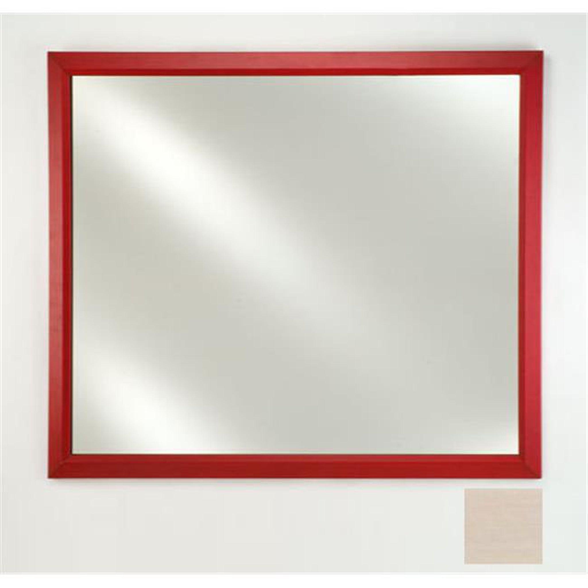 Afina, Afina Signature 16" x 22" Arlington Pickled Framed Mirror With Plain Edge