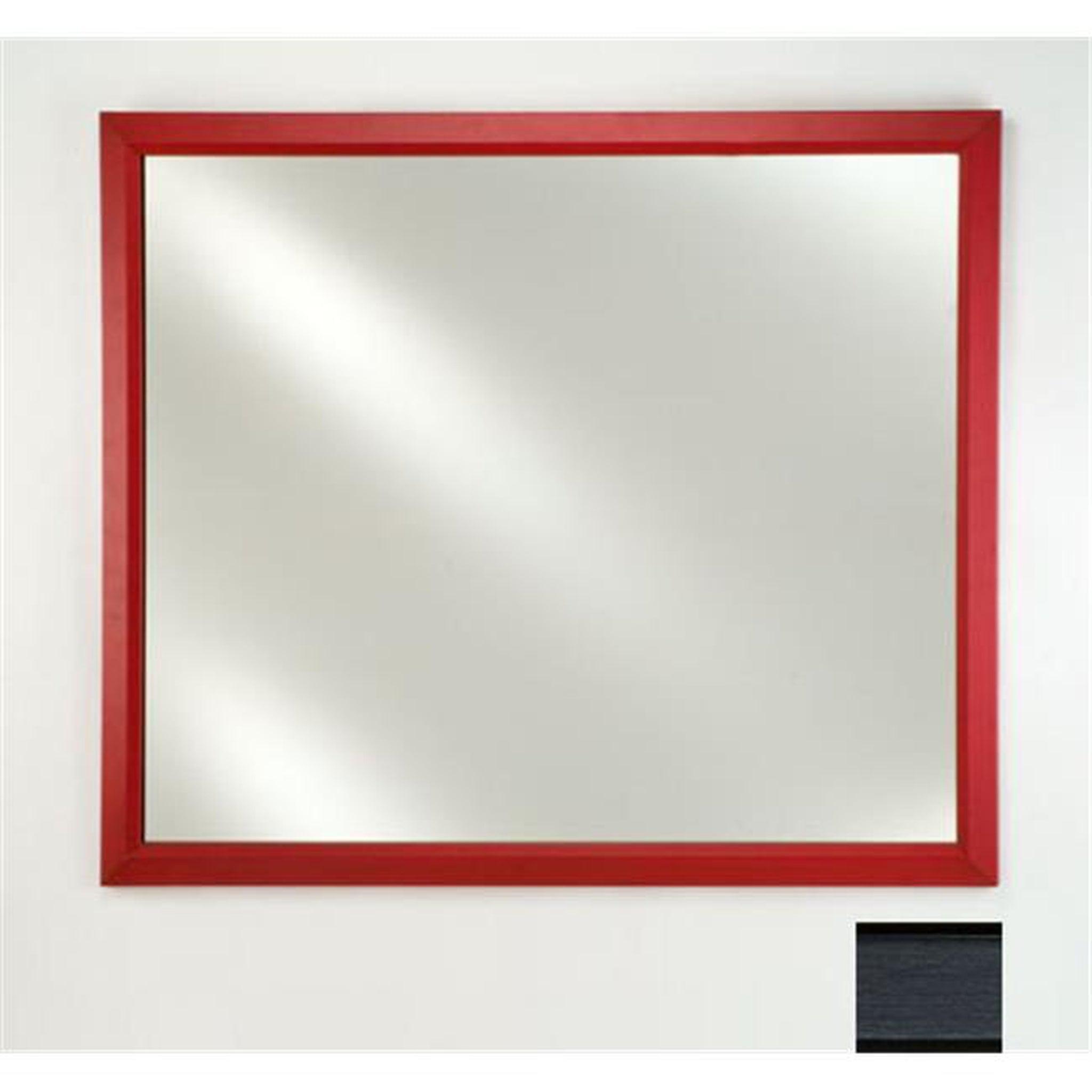 Afina, Afina Signature 16" x 22" Soho Brushed Black Framed Mirror With Plain Edge